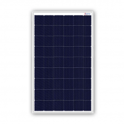 Microtek Solar PV Module 100W 12V